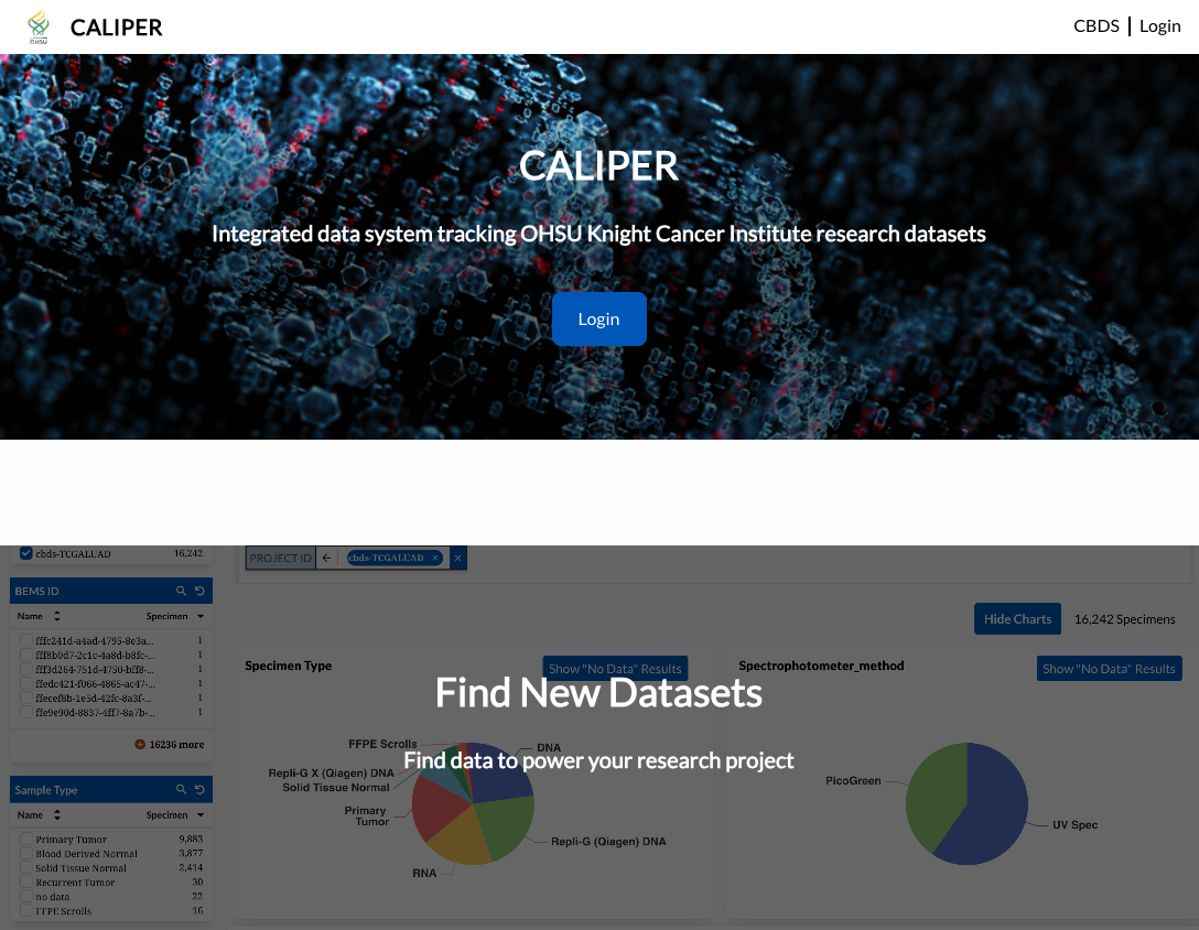 Main landing page for ACED IDP
